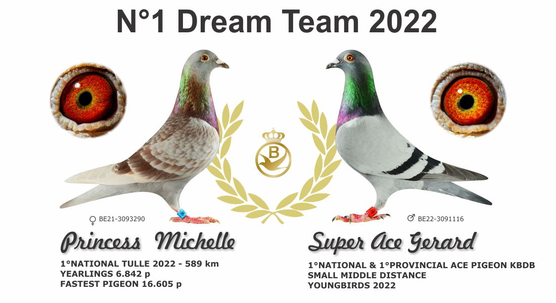 Dream Team 2022